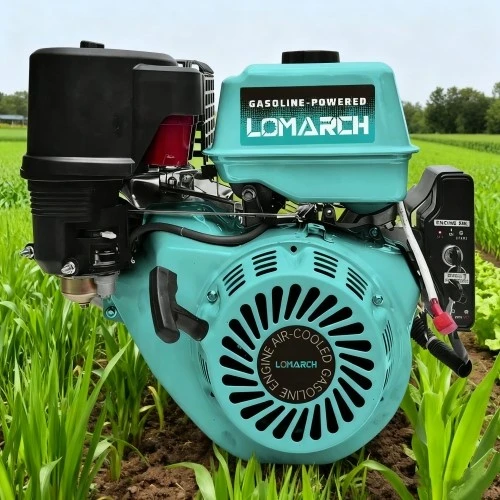 product-500-500